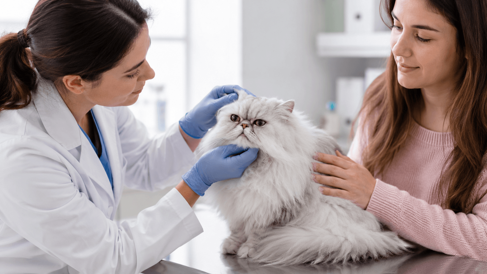Persian — Health Care Guide