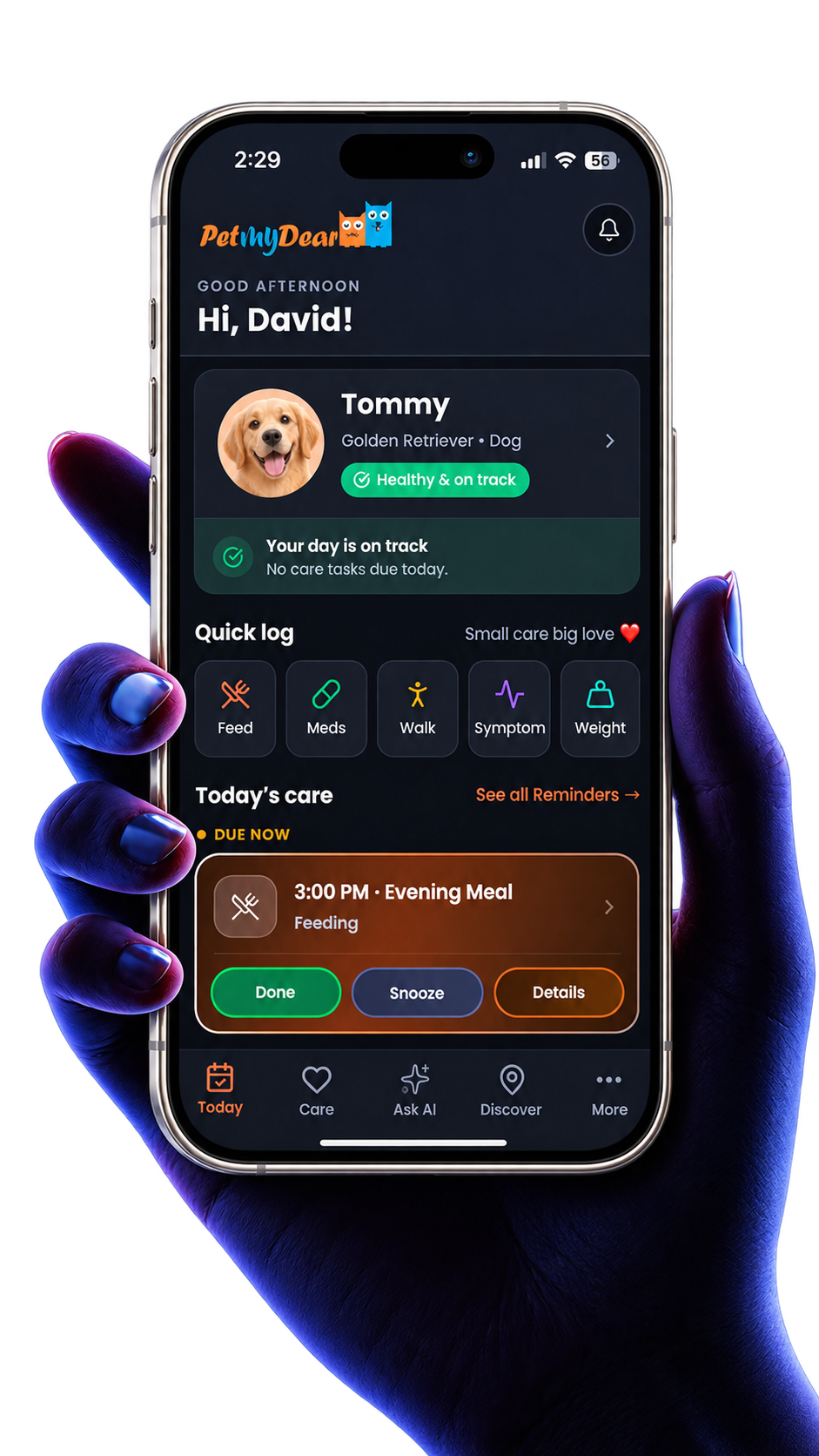 PetMyDear app preview with Tommy’s pet profile, care reminders, and daily activity tracking